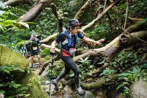 BIB: 
                            <button type="button" onclick="openModal(19407255)" class="btn btn-primary btn-sm float-right btn-popup" data-toggle="modal" data-target=".modal-high-quality">
                        <i class="fas fa-shopping-cart"></i> Add to Cart
                    </button>
                                            <button type="button" onclick="isThisMe(19407255, true)" class="btn btn-success btn-sm float-right btn-popup btn-isme hidden" data-toggle="tooltip" data-placement="bottom" title="นี่คือรูปของคุณใช่ไหม คลิกที่นี่เพื่อเอาเข้าอัลบั้ม">
                        <i class="fas fa-plus"></i> Add to album
                    </button>
                    <button type="button" onclick="isThisMe(19407255, false)" class="btn btn-warning btn-sm float-right btn-popup btn-isnotme hidden">
                        <i class="fas fa-ban"></i> Remove from album
                    </button>